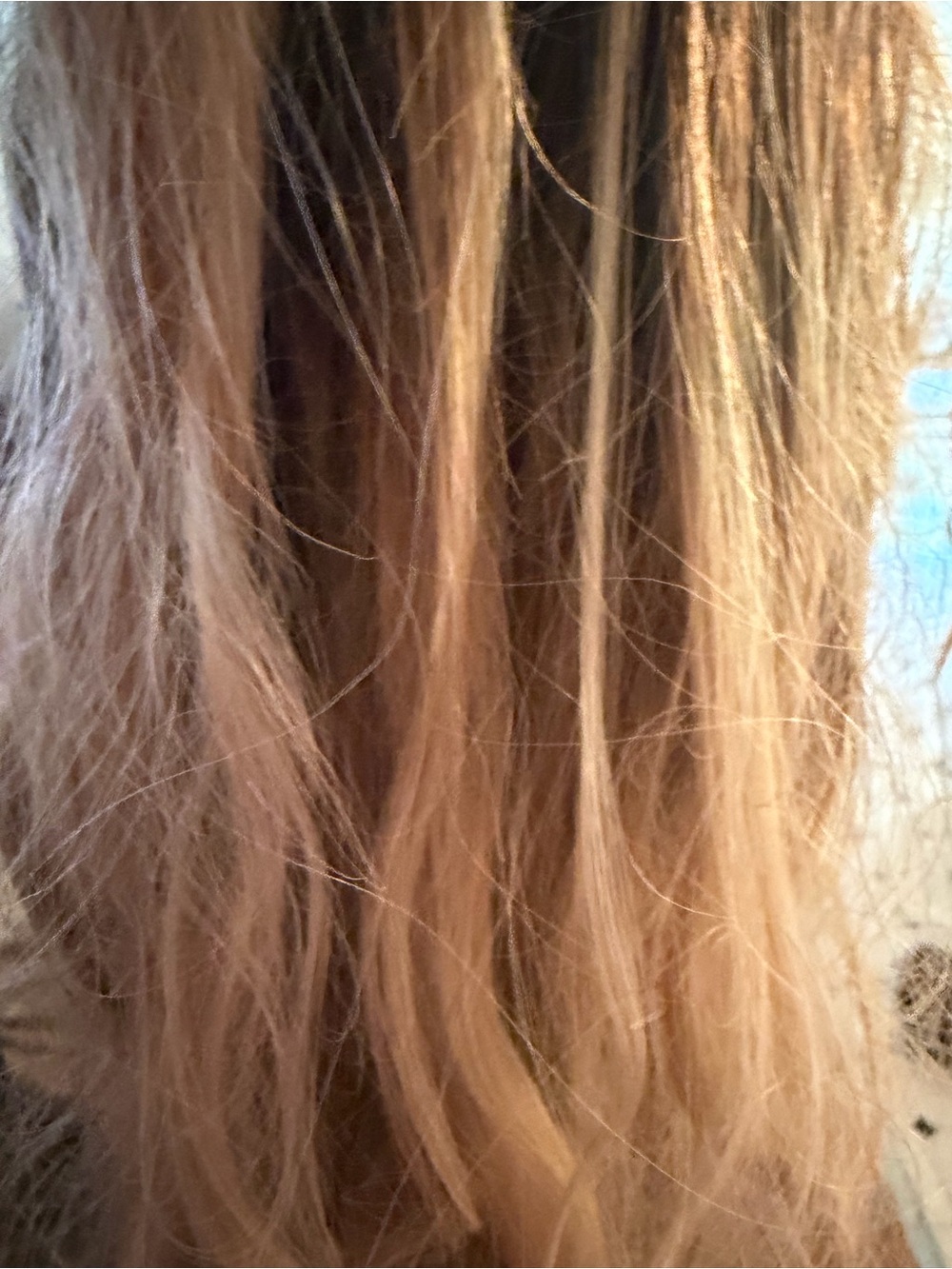 Long Wavy Women's Wig - Ash Blonde Balayage STACY’S WIGS  KENNA in CASHMERE Bld - Picture 2 of 5